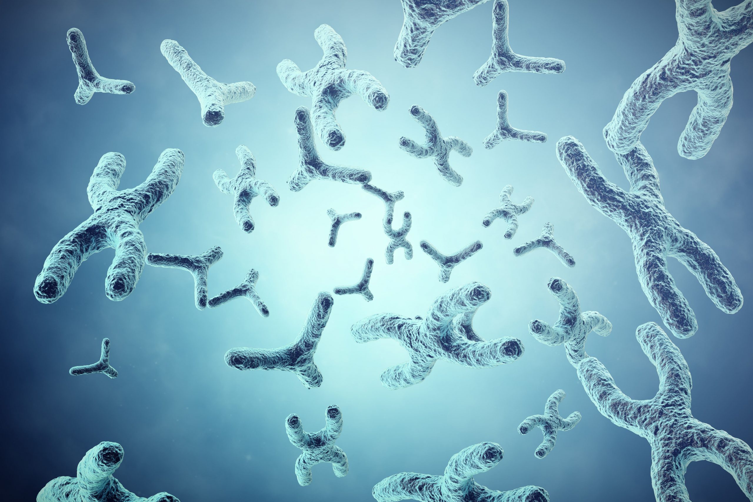 Karyotype and chromosomal abnormalities: everything you need to know