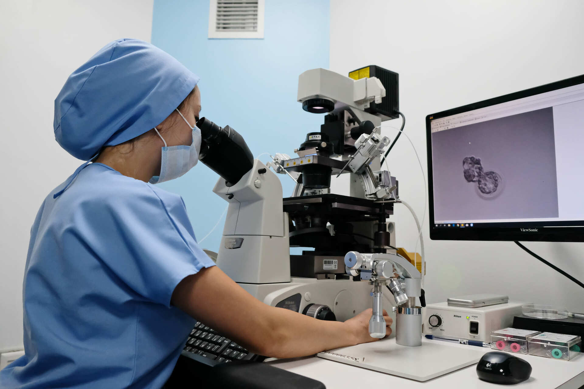FAQ: Understanding Embryo Development and Quality