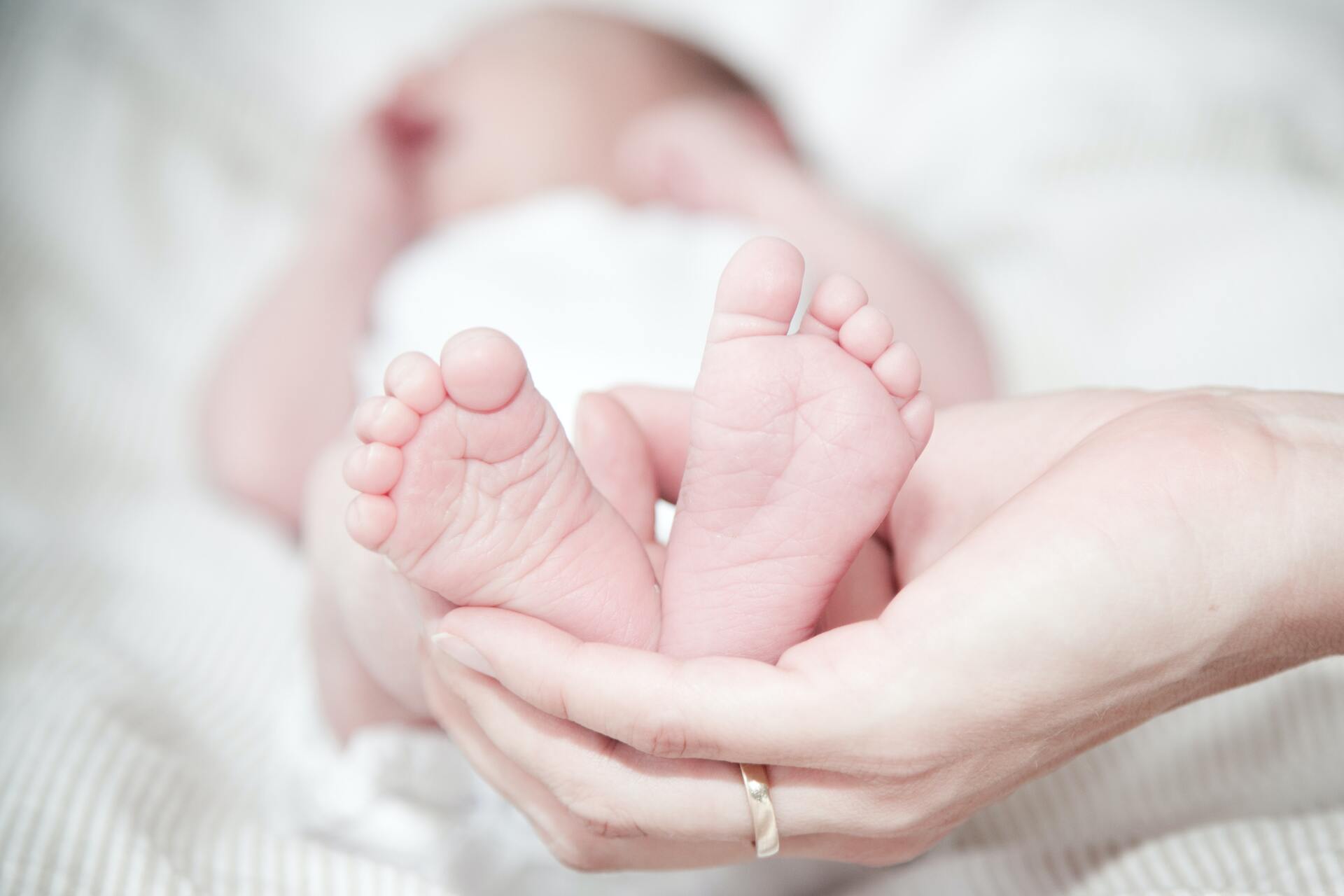 3 tips for preparing for an embryo transfer