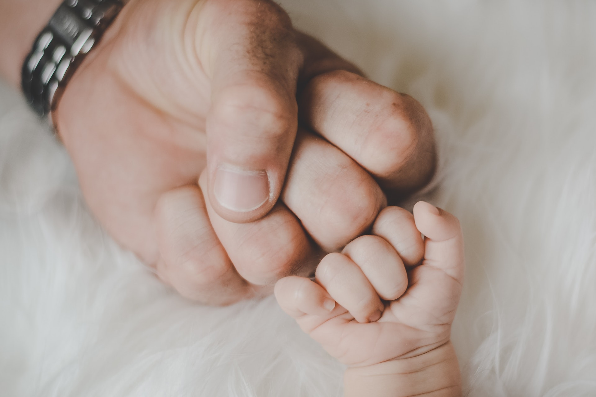 What is the link between nutrition and male fertility?