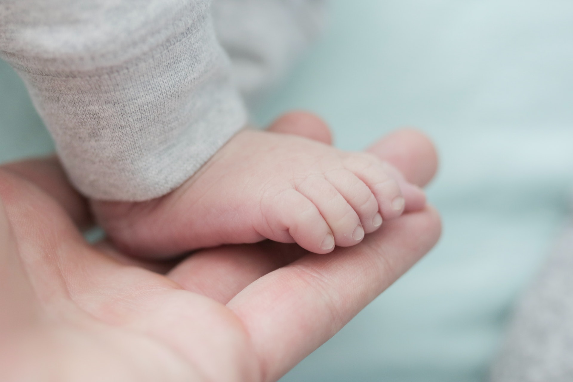 Endocrine disruptors: what are their effects on fertility?