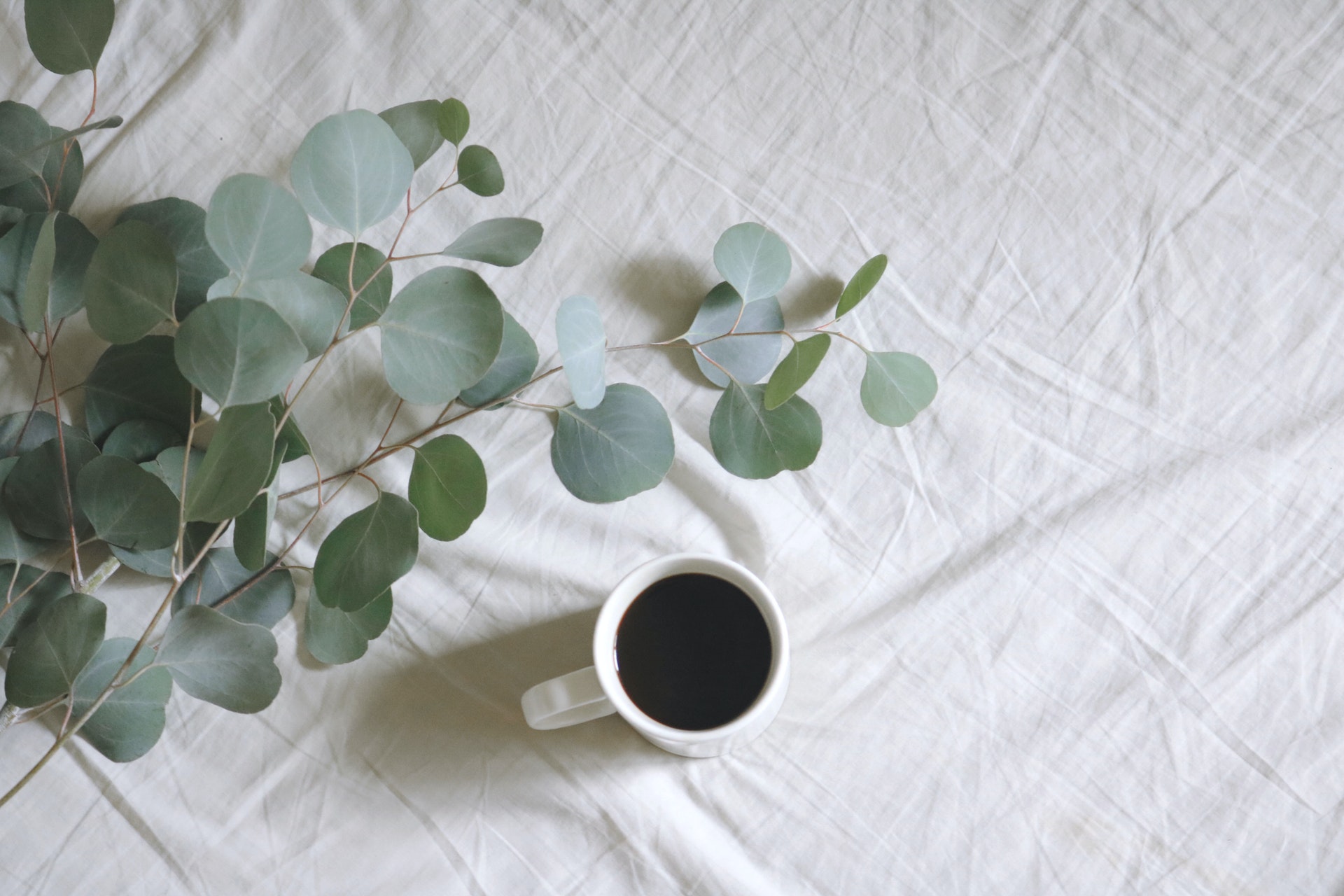 IVF: Does caffeine reduce the chances of success?